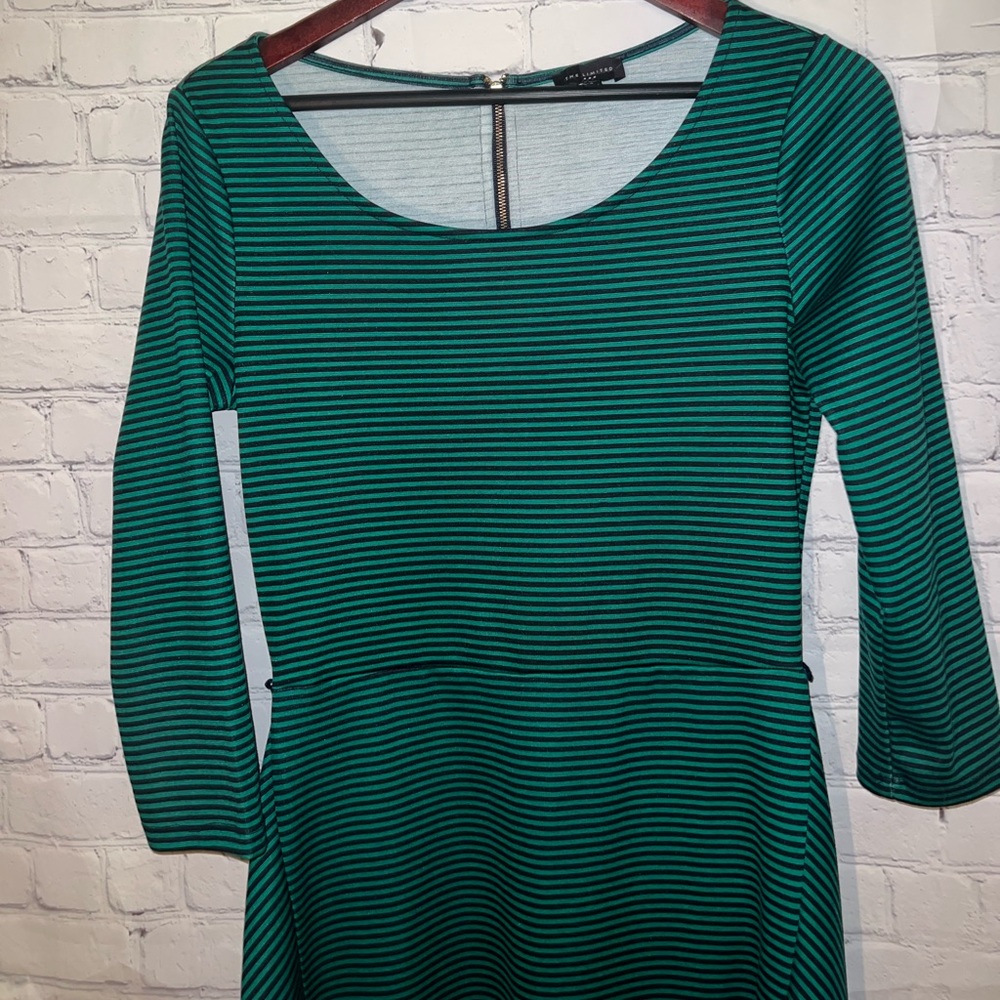 the limited green & black striped long sleeve dress size S - Picture 6 of 11